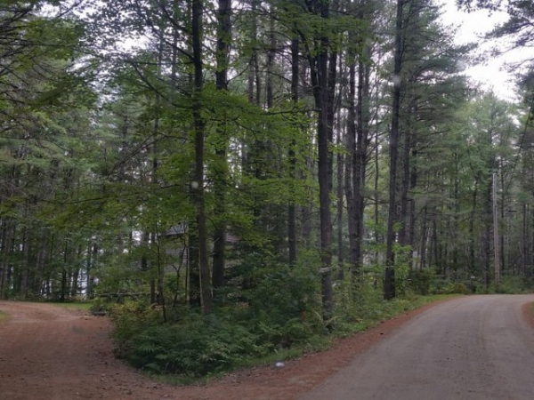 Which path would you choose?
