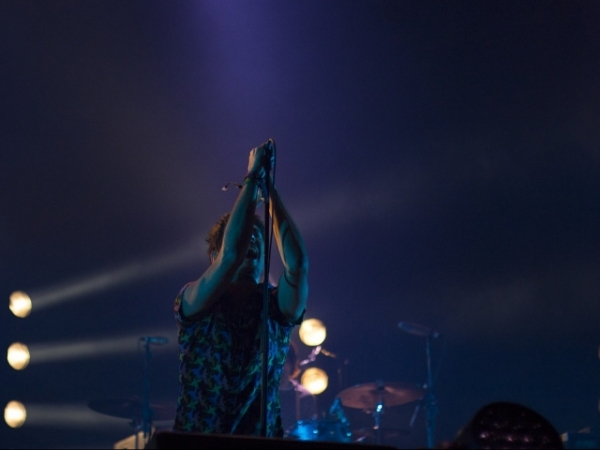 What can you typically be found doing at a concert?