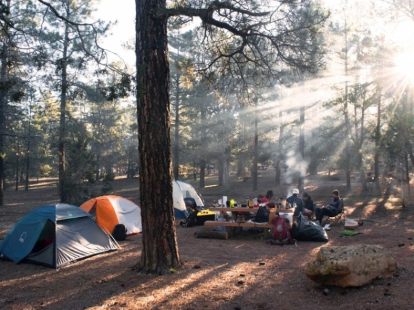 Did you ever go to summer camp?