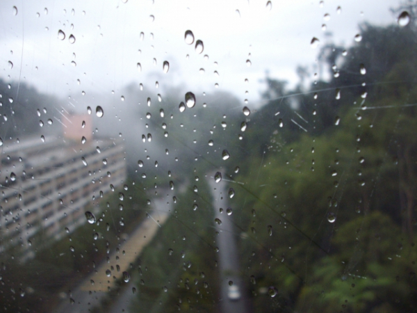 What type of weather do you like?