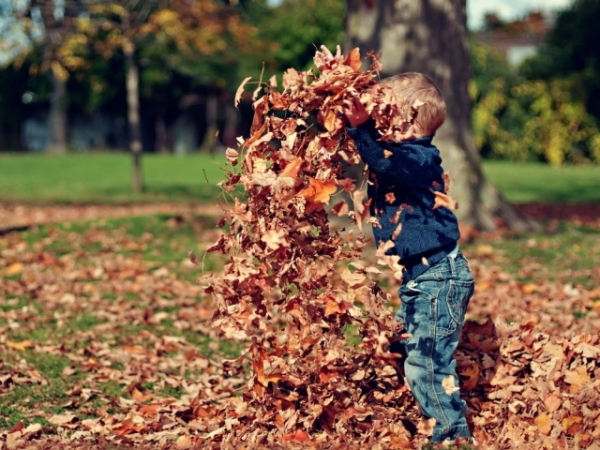 Who will be joining you on your fall day of fun?
