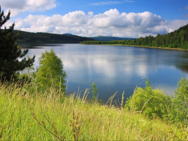 Are you concerned about the environment?