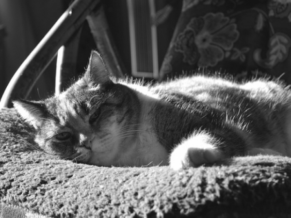 How do you like to sleep?