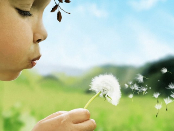 Choose your favorite flower.
