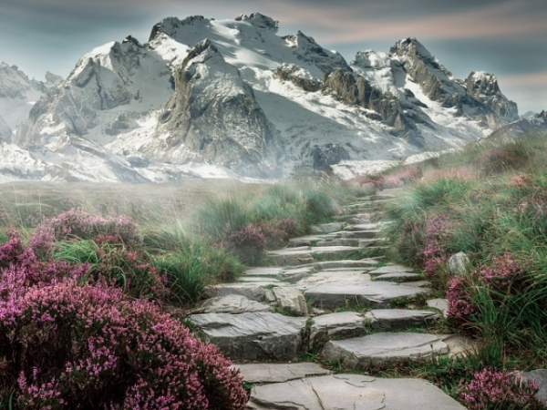 Which terrain would you like to explore?