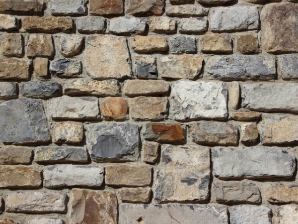 Choose your preferred color for an accent wall: