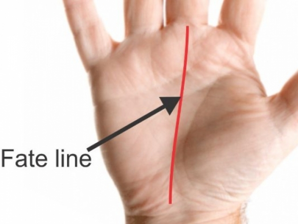 Which best describes your fate line?