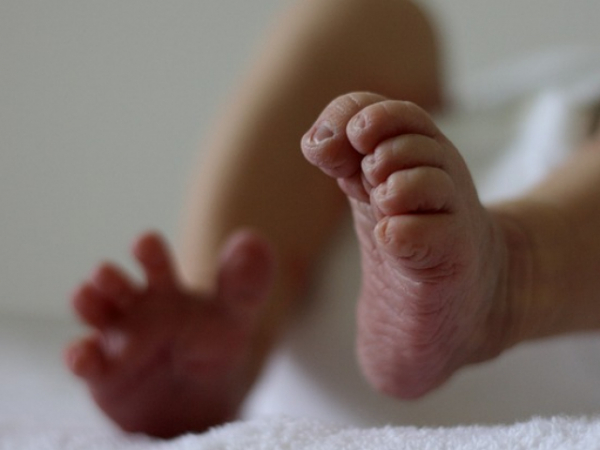 If you could be reborn, what would you want to be?