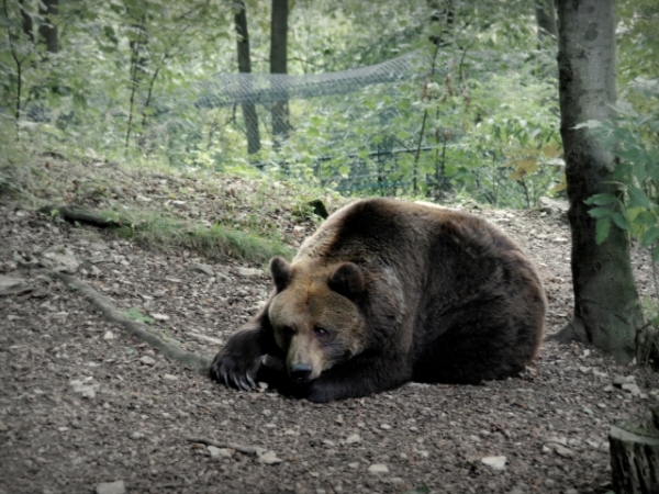 At what time of day do you begin to feel the most tired?