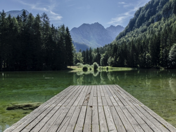 Do you prefer the wild wilderness or the urban jungle?