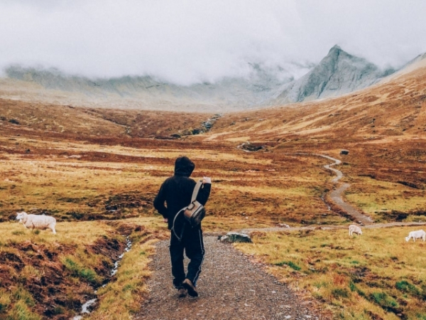 What do you typically follow?