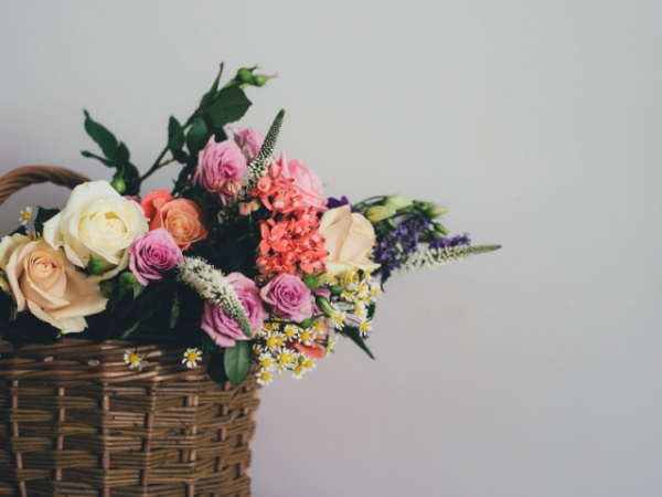 What is your favorite flower?