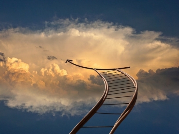 How did you work your way up the ladder?