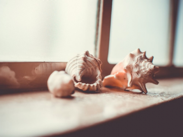 Do you collect trinkets?