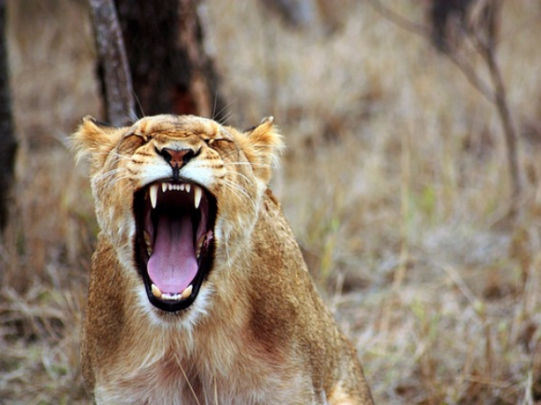 Do you have a temper easily?