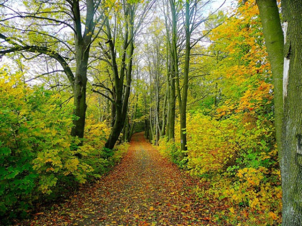 What’s your favorite time of year?