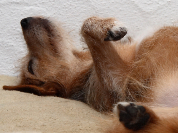 What time do you wake up on weekdays?