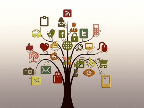 Which social networking site do you prefer?