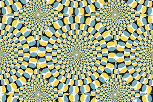 What color combination can you see in this picture?
