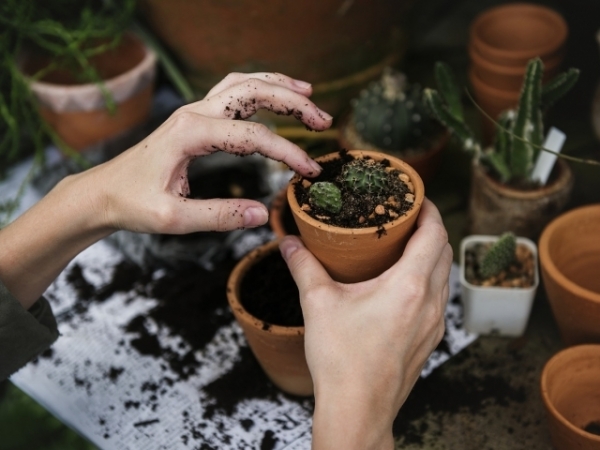 Has your partner ever taken interest in your hobbies?