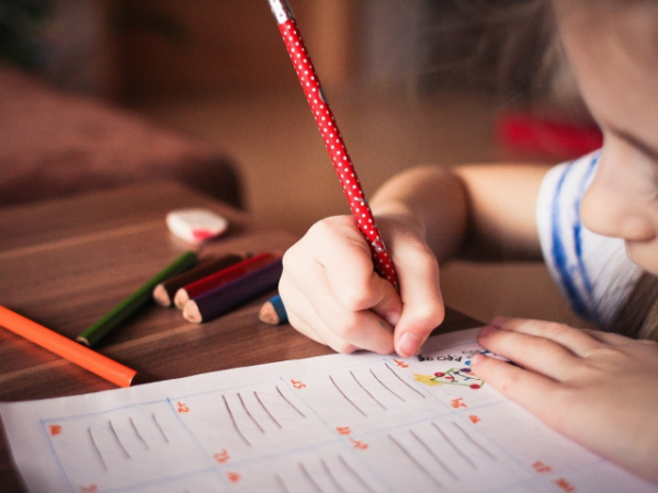 What was your favorite subject to study in school?