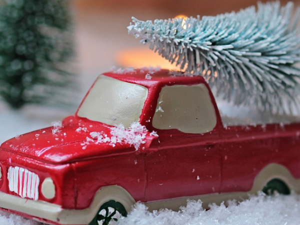 Which is your favorite Christmas movie?