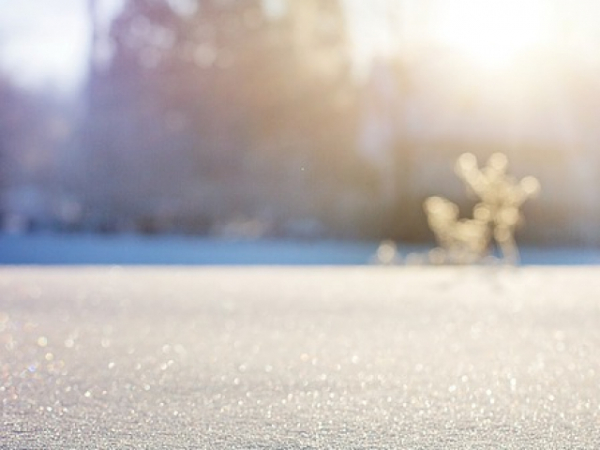 When I say WINTER, you think...