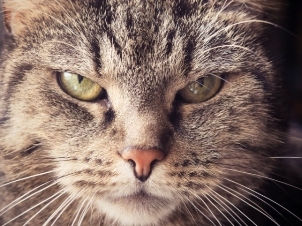 What's your biggest pet peeve?