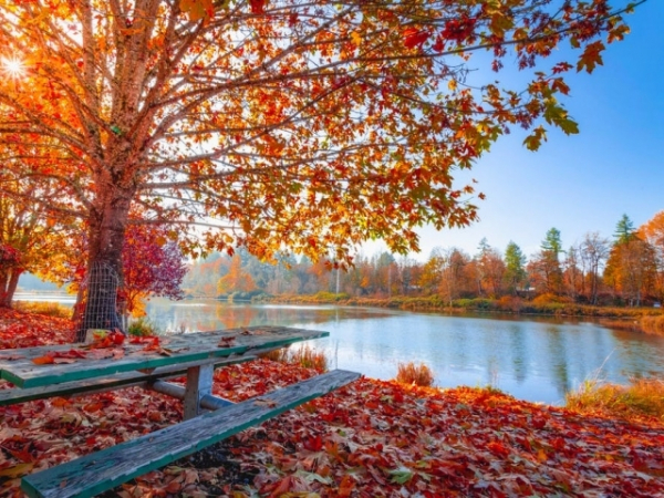 Which season makes you feel most like yourself?