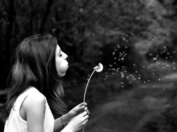If you had one wish, what would it be?