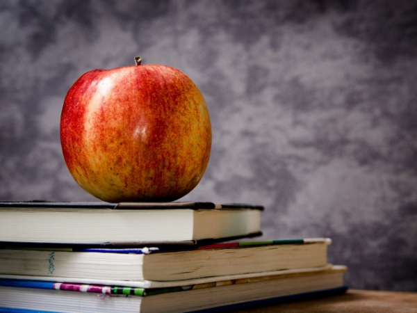 While in high school or college, what was your favorite subject to learn about?