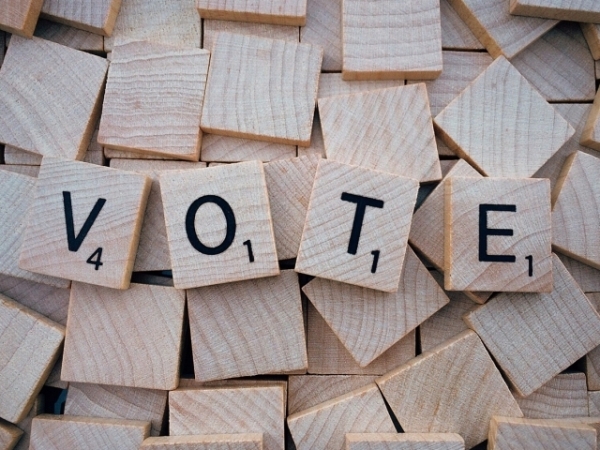 How often do you vote?