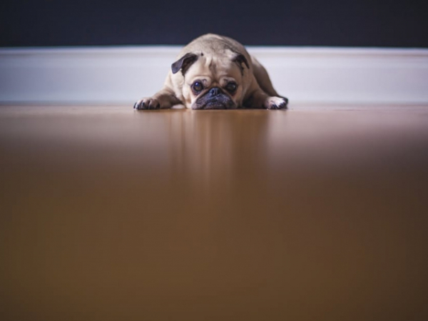 If you are in a bad mood, do you prefer to be left alone or have someone to cheer you up?