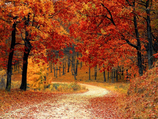 What is your favorite season?