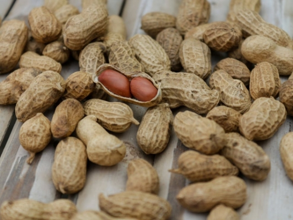 What are you most likely to snack on?