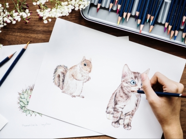 You're asked to draw a picture. What would you draw?