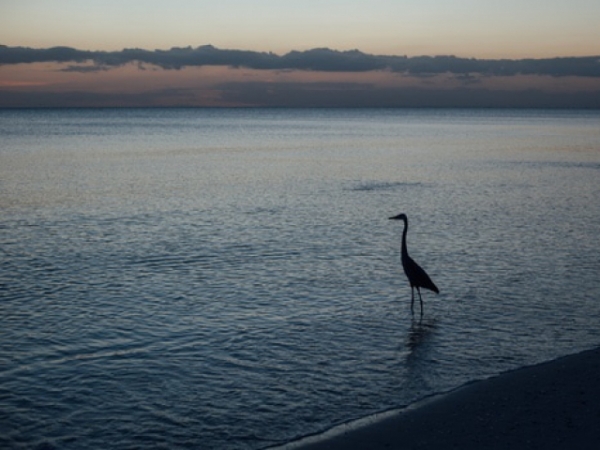 Which word would you associate with this picture?