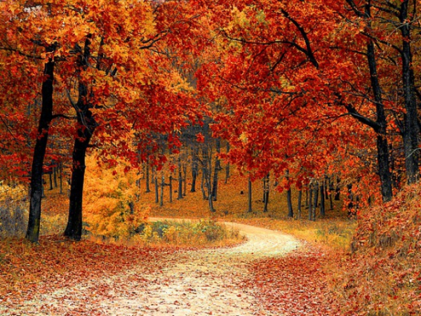 Which season do you prefer?