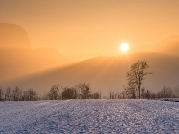 Which season brings you to life?