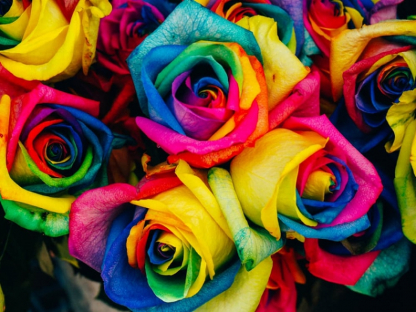 Which color do you prefer?