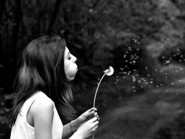 If you had one wish, what would it be?