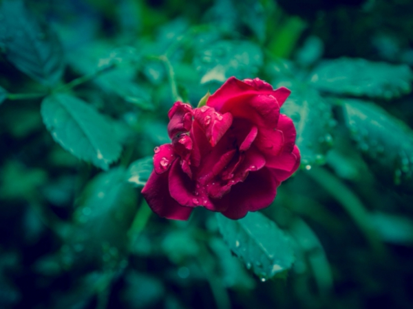 Are you more shy or outspoken?