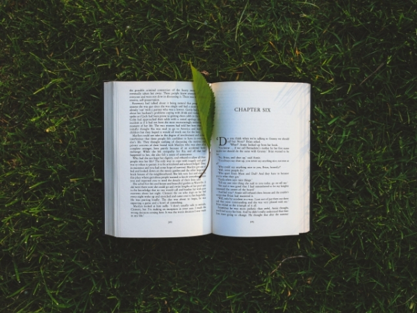 Your favorite character in a book is usually?