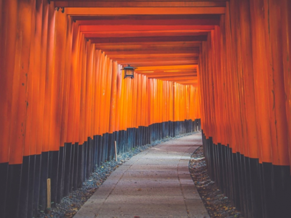 How do the colors in this photo make you feel?