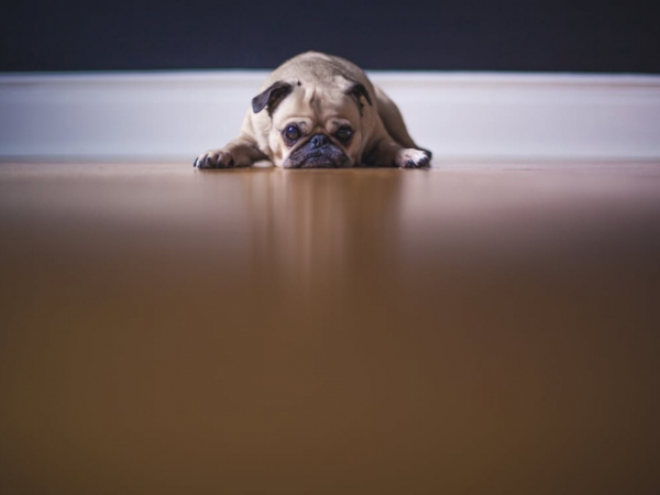 If a relationship or job makes you unhappy, do you choose to stay or leave?