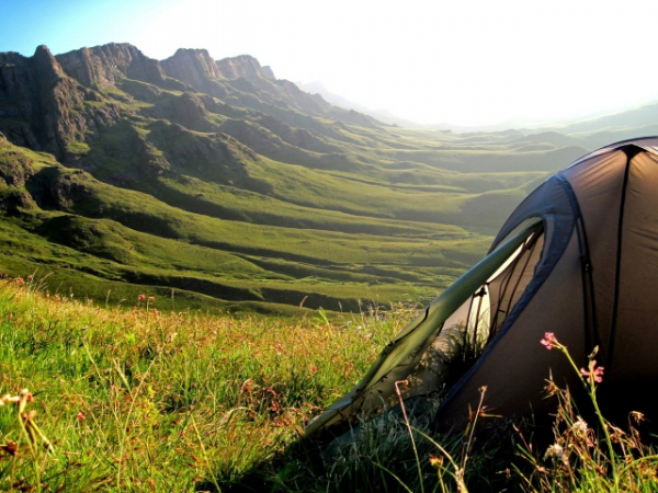 Could you build a shelter using only materials found in the forest?
