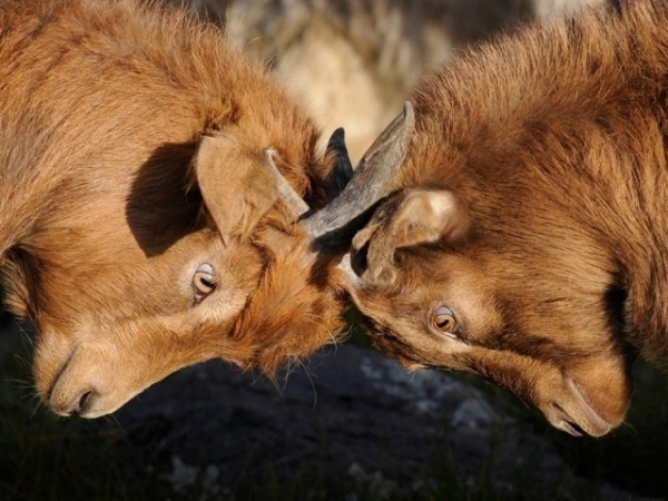 What do you do when you and a friend have a disagreement?