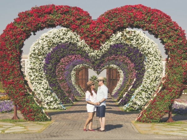 Would you rather find your true love or a suitcase with five million dollars inside?
