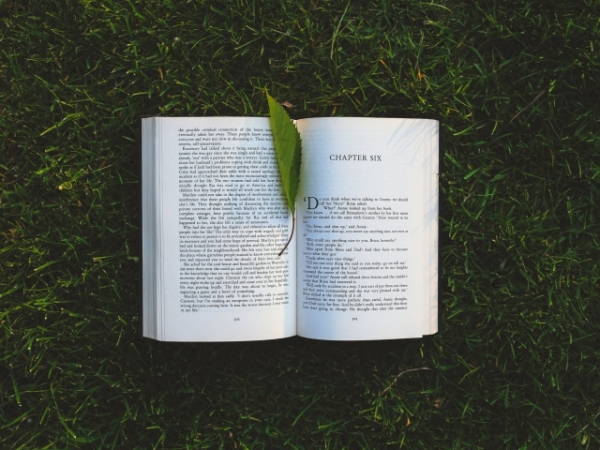 If your life were a book, which genre would it be?