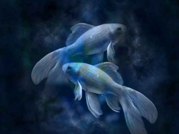 What is your zodiac sign?